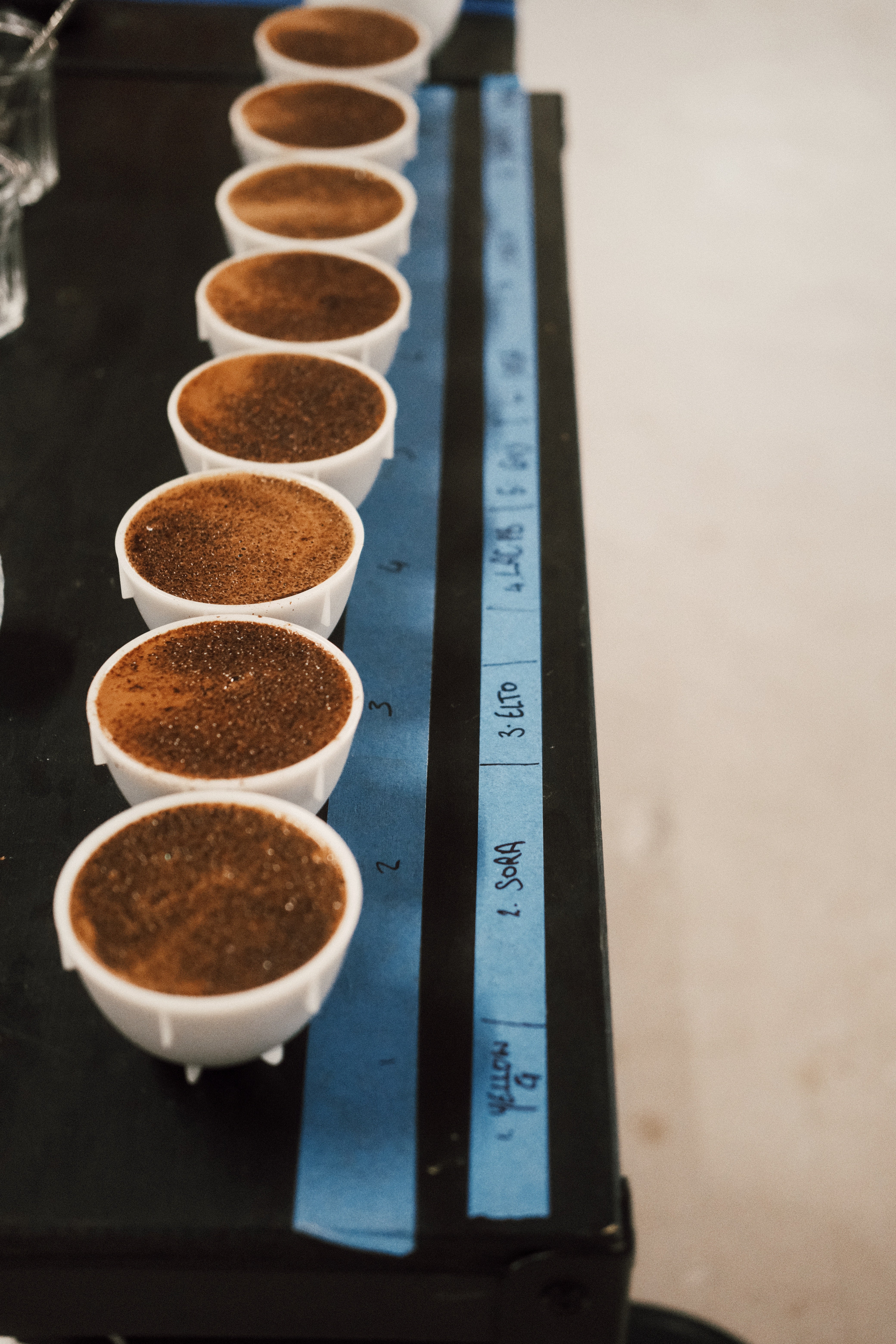 Process Coffee Rare subscription